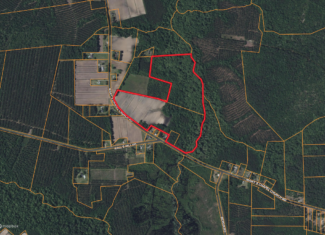 59 Acres of Farmland & Timberland in Rural NC – Great Hunting